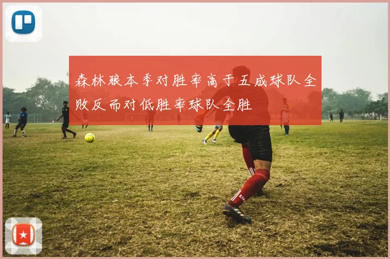 森林狼本季对胜率高于五成球队全败反而对低胜率球队全胜